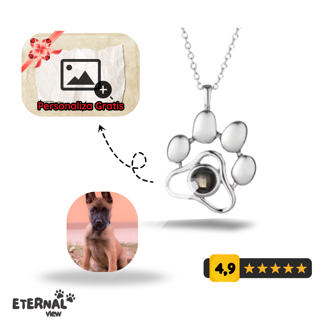 Collar Proyección Personalizada