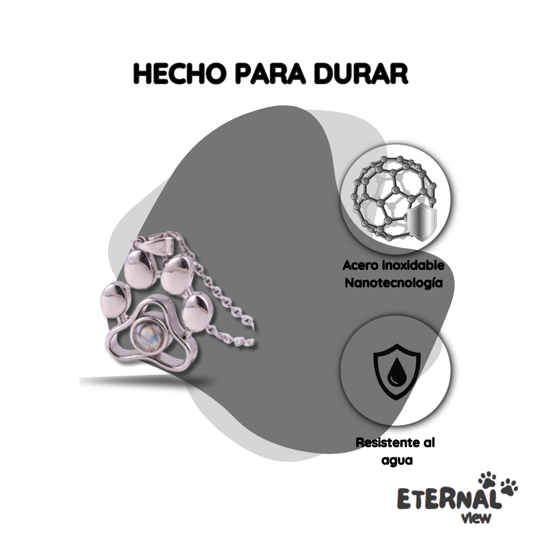 Collar Proyección Personalizada